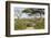 Landscape of the African Savanna with Safari Vehicle, Tanzania-James Heupel-Framed Photographic Print