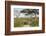 Landscape of the African Savanna with Safari Vehicle, Tanzania-James Heupel-Framed Photographic Print