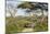 Landscape of the African Savanna with Safari Vehicle, Tanzania-James Heupel-Mounted Photographic Print