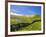 Landscape of the Caldeirao do Corvo, Corvo, Azores, Portugal, Atlantic, Europe-Karol Kozlowski-Framed Photographic Print