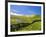 Landscape of the Caldeirao do Corvo, Corvo, Azores, Portugal, Atlantic, Europe-Karol Kozlowski-Framed Photographic Print