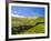 Landscape of the Caldeirao do Corvo, Corvo, Azores, Portugal, Atlantic, Europe-Karol Kozlowski-Framed Photographic Print