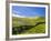 Landscape of the Caldeirao do Corvo, Corvo, Azores, Portugal, Atlantic, Europe-Karol Kozlowski-Framed Photographic Print