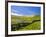 Landscape of the Caldeirao do Corvo, Corvo, Azores, Portugal, Atlantic, Europe-Karol Kozlowski-Framed Photographic Print