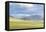 Landscape of the green Mongolian steppe under a gloomy sky, Ovorkhangai province, Mongolia, Central-Francesco Vaninetti-Framed Premier Image Canvas