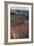 Landscape of the National Park of Timanfaya, Lanzarote, Spain-Natalie Tepper-Framed Photo