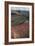 Landscape of the National Park of Timanfaya, Lanzarote, Spain-Natalie Tepper-Framed Photo