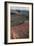 Landscape of the National Park of Timanfaya, Lanzarote, Spain-Natalie Tepper-Framed Photo