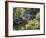 Landscape of Traditional Chinese Garden, Shanghai, China-Keren Su-Framed Photographic Print