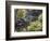 Landscape of Traditional Chinese Garden, Shanghai, China-Keren Su-Framed Photographic Print