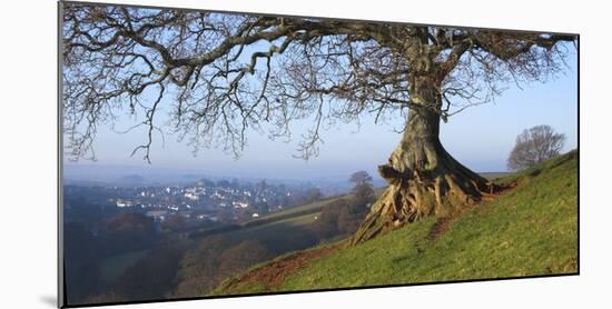 Landscape of tree over River Dart Devon-Charles Bowman-Mounted Photographic Print