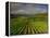 Landscape of Vineyards and Hills Near Beaune, Burgundy, France, Europe-Michael Busselle-Framed Premier Image Canvas