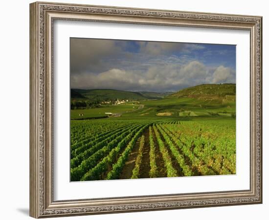 Landscape of Vineyards and Hills Near Beaune, Burgundy, France, Europe-Michael Busselle-Framed Photographic Print