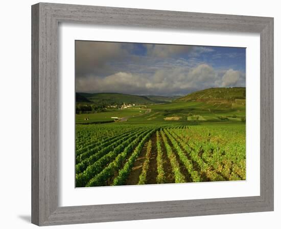 Landscape of Vineyards and Hills Near Beaune, Burgundy, France, Europe-Michael Busselle-Framed Photographic Print