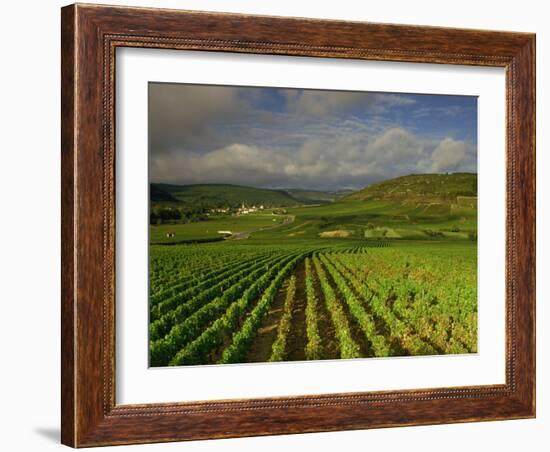 Landscape of Vineyards and Hills Near Beaune, Burgundy, France, Europe-Michael Busselle-Framed Photographic Print