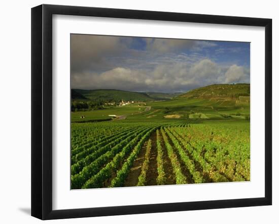 Landscape of Vineyards and Hills Near Beaune, Burgundy, France, Europe-Michael Busselle-Framed Photographic Print