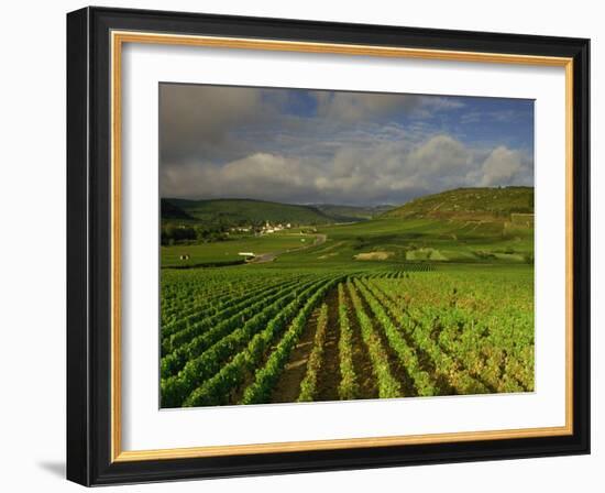 Landscape of Vineyards and Hills Near Beaune, Burgundy, France, Europe-Michael Busselle-Framed Photographic Print