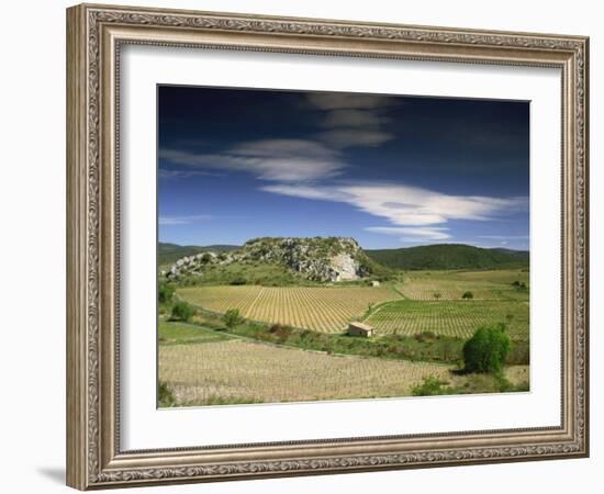 Landscape of Vineyards and Hills Near Neffies, Herault, Languedoc Roussillon, France, Europe-Michael Busselle-Framed Photographic Print