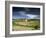 Landscape of Vineyards and Hills Near Neffies, Herault, Languedoc Roussillon, France, Europe-Michael Busselle-Framed Photographic Print