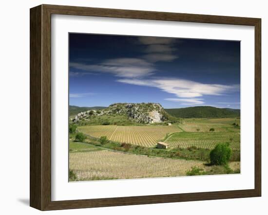 Landscape of Vineyards and Hills Near Neffies, Herault, Languedoc Roussillon, France, Europe-Michael Busselle-Framed Photographic Print