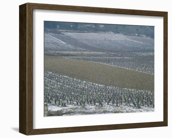 Landscape of Vineyards in Winter with Snow Near Pommard, in Burgundy, France, Europe-Michael Busselle-Framed Photographic Print