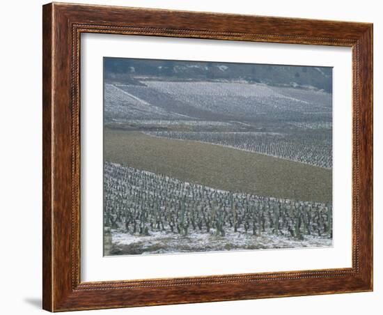 Landscape of Vineyards in Winter with Snow Near Pommard, in Burgundy, France, Europe-Michael Busselle-Framed Photographic Print