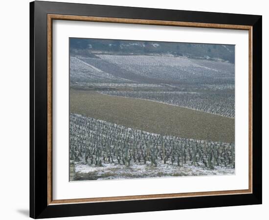 Landscape of Vineyards in Winter with Snow Near Pommard, in Burgundy, France, Europe-Michael Busselle-Framed Photographic Print