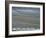 Landscape of Vineyards in Winter with Snow Near Pommard, in Burgundy, France, Europe-Michael Busselle-Framed Photographic Print