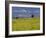 Landscape of Yellow Flowers of Mustard Crop the Himalayas in the Background, Kathmandu, Nepal-Alison Wright-Framed Photographic Print