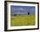 Landscape of Yellow Flowers of Mustard Crop the Himalayas in the Background, Kathmandu, Nepal-Alison Wright-Framed Photographic Print