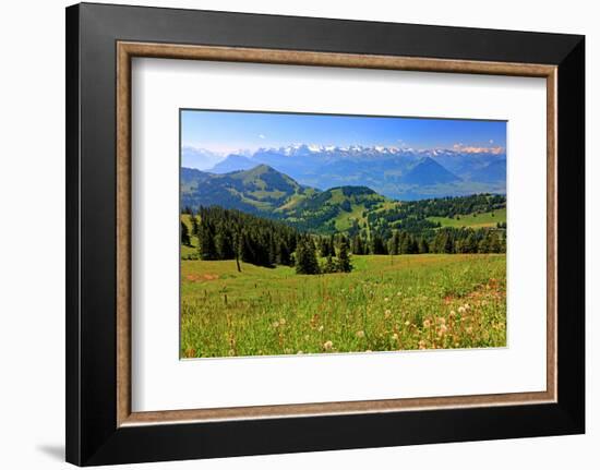 Landscape on Rigi-Kulm with View of Lake Lucerne and the Urner Alps, Canton of Lucerne, Switzerland-null-Framed Art Print