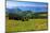 Landscape on Rigi-Kulm with View of Lake Lucerne and the Urner Alps, Canton of Lucerne, Switzerland-null-Mounted Art Print