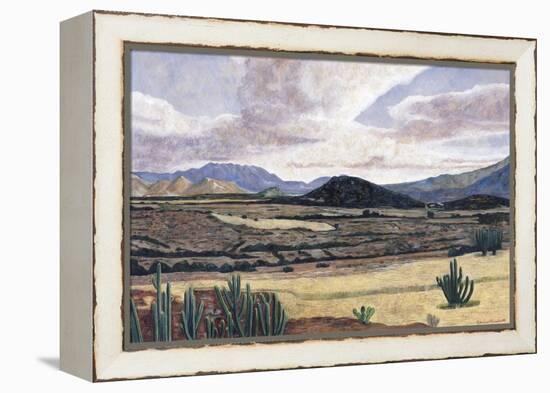 Landscape on the Way to Teotitlan, 1999-Pedro Diego Alvarado-Framed Premier Image Canvas