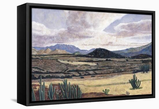 Landscape on the Way to Teotitlan, 1999-Pedro Diego Alvarado-Framed Premier Image Canvas