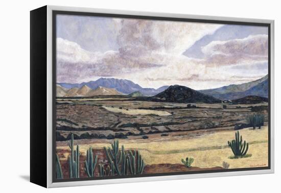 Landscape on the Way to Teotitlan, 1999-Pedro Diego Alvarado-Framed Premier Image Canvas