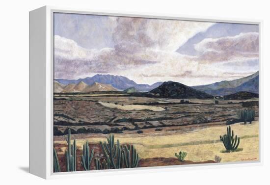Landscape on the Way to Teotitlan, 1999-Pedro Diego Alvarado-Framed Premier Image Canvas