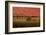 Landscape on Wood II-Irena Orlov-Framed Art Print