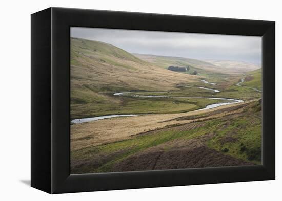 Landscape, Rhayader, Mid Wales, United Kingom, Europe-Janette Hill-Framed Premier Image Canvas