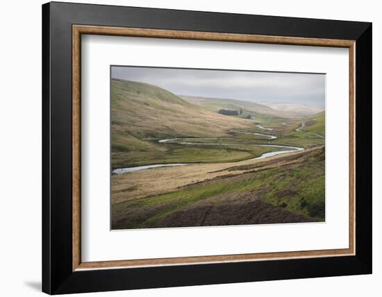 Landscape, Rhayader, Mid Wales, United Kingom, Europe-Janette Hill-Framed Photographic Print