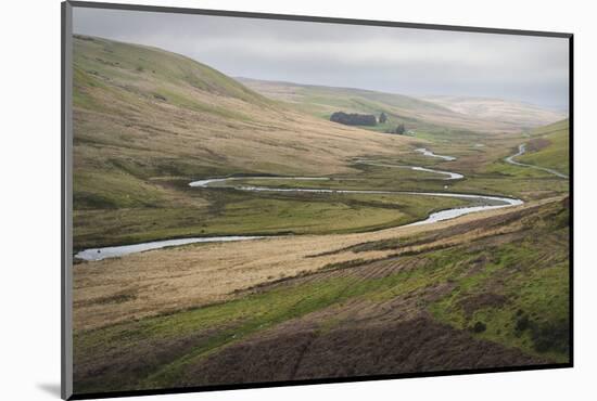 Landscape, Rhayader, Mid Wales, United Kingom, Europe-Janette Hill-Mounted Photographic Print