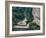 Landscape. Road with Trees in Rocky Mountains-Paul Cézanne-Framed Giclee Print