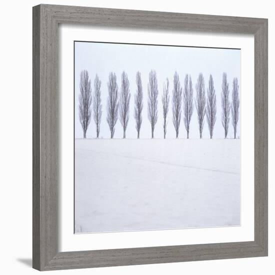 Landscape, Row of Trees, Winter-Roland T.-Framed Photographic Print