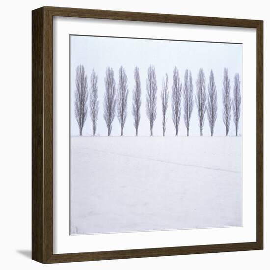 Landscape, Row of Trees, Winter-Roland T.-Framed Photographic Print