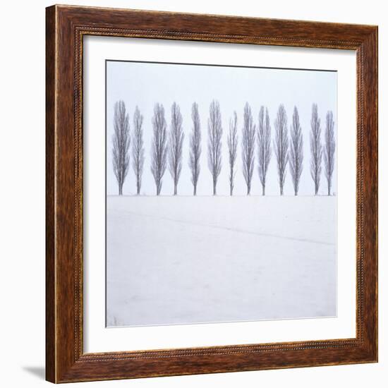 Landscape, Row of Trees, Winter-Roland T.-Framed Photographic Print