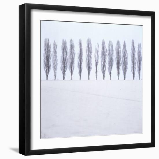 Landscape, Row of Trees, Winter-Roland T.-Framed Photographic Print