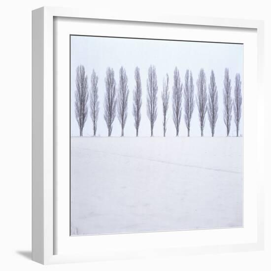 Landscape, Row of Trees, Winter-Roland T.-Framed Photographic Print