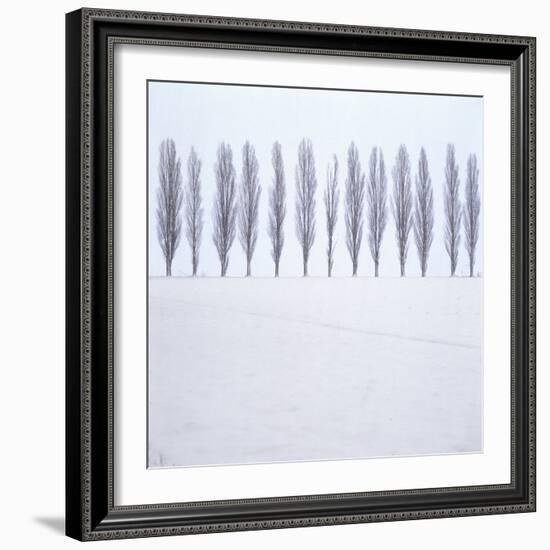 Landscape, Row of Trees, Winter-Roland T.-Framed Photographic Print