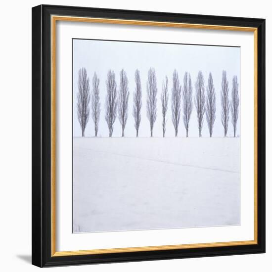 Landscape, Row of Trees, Winter-Roland T.-Framed Photographic Print