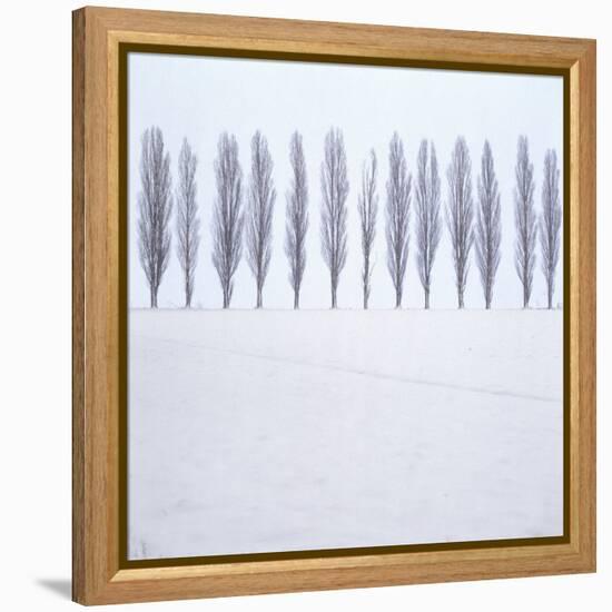 Landscape, Row of Trees, Winter-Roland T.-Framed Premier Image Canvas