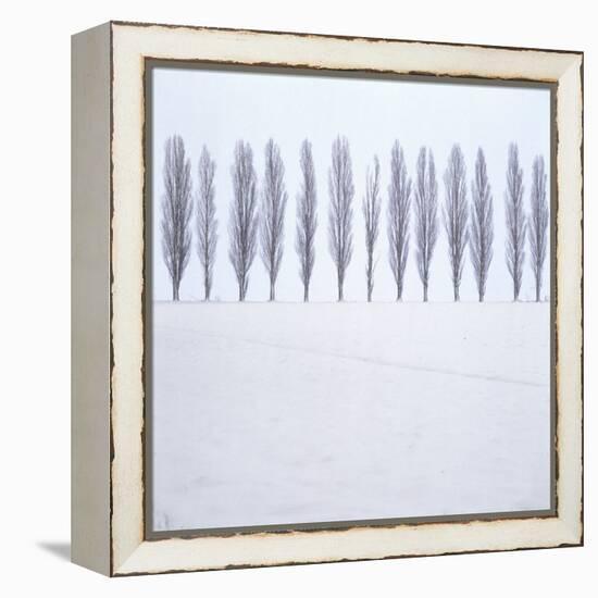 Landscape, Row of Trees, Winter-Roland T.-Framed Premier Image Canvas